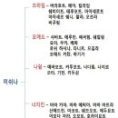 미슈나인