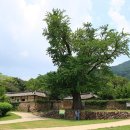이주의정원 이미지