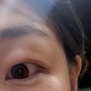 제주도게스트하우스동쪽구좌감성1인숙소그리고세화 | 혼자 여행] Day 1. 평대전복 / 서우봉 / 만춘서점 / 게스트하우스 그리고세화 / 세화 구좌모메존흑돼지