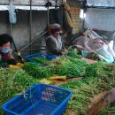 불당삼거리1 이미지