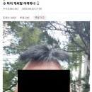 갤러리헤어 이미지