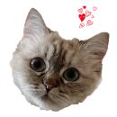 율하2지구_모산공원산책로 이미지