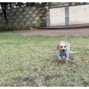 디엠보고 이미지