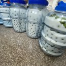 용인대 남부태권도장 이미지