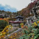 stay floor 이미지