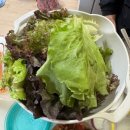 삼성장의사 | 11. 살기 좋은 5월 (의 달천동)