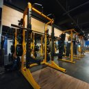 와이디짐 이미지