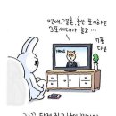 공감 이미지