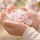 물태리 다목적회관 이미지