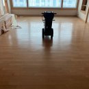 칠괴 우림필유 이미지