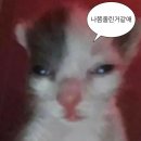 11500-7-44-07 | #15 주간일기 | 2026.04.06 ~ 04.12 | 화분 심기, 마라샹궈 냠, 김천 여행 전 늦잠