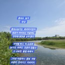 을숙도 늪지 이미지