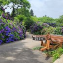 동광리-16 이미지