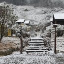 홍천해당화 이미지