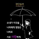 샬롬 Daum카페