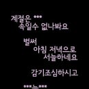 수다방 Daum카페