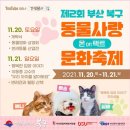 견생폼사 이미지