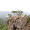 순수한 육산에서 돋아난 기암괴석의 산봉우리, 구재봉-분지봉(‘15.8.27) 이미지
