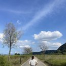 낙동강 녹색자전거길 자전거 무료대여소 | [창원/동읍] 북면 녹색자전거길 자전거 무료 대여소