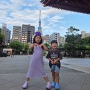 의사가 만든 발 편한 아이 신발 바크 슬리퍼 내돈내산 추천 후기와 매장