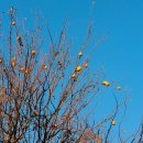 모과목장 이미지