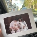 애견가족 | <양림사진관> 애견동반 가족사진 후기 광주 한장 사진관