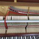 진해신항초등학교 이미지