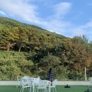 헤세디온 | 대구 현풍 애견동반카페 비슬산뷰 대형견과 다녀온 잔디 운동장 '헤세디온'