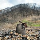 즐길거리 가득한 소도시 여행 이미지