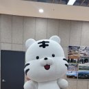 365의전 이미지