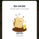 목란농장 | 마이컬리팜 , 이연복의 목란 짬뽕 쿠폰으로 식비 절약 후기