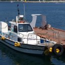 욕지바다낚시민박 이미지