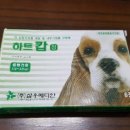 천풍동물병원 이미지