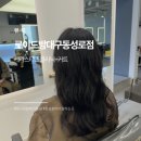 대구미용실 기장추가없는 케라스타즈 클리닉 로이드밤 대구동성로점