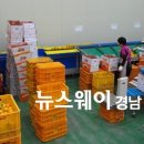 동남유통 이미지
