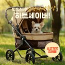 사상약국 이미지