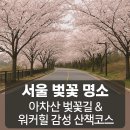 벚꽃로 | 서울 벚꽃 명소 추천: 아차산 벚꽃길 &amp; 워커힐 벚꽃로 한적한 산책코스 후기