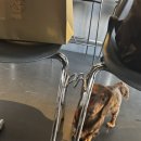 뚜레쥬르부산수영교차로점 이미지