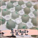 금강농장 | 청계란 통일청란 우프동물농장 비교하기