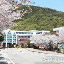 김포대학교 이미지
