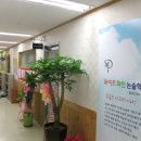 와이즈파인학원