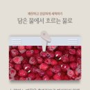 싱싱과일채소