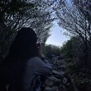 (주)아미노랩 | 등산 일기: 지리산 1박2일 성중종주 편(5/14-15)
