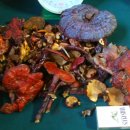자연산 영지버섯(완전건조) 이미지