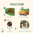 면역력 성장을 위한 어린이영양제, 키즈홍삼을 찾고 계시다면 꼬비도비 추천해요 (공구 OPEN)