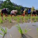 김용식농장 이미지