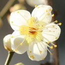 금운정 | 영광 금운정(錦雲亭)