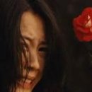 키무라 요시노 카카오 검색결과