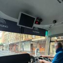 (명)스카이여행사 | 시드니 울릉공 스카이다이빙 버킷리스트 성공! 가격 후기 소요시간