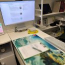 밸런스 라인댄스 | 마곡 체형교정,일자목 맞춤운동 본밸런스 마곡점